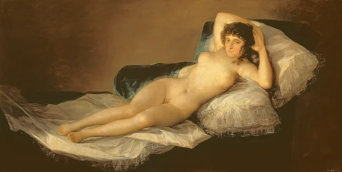 La maja desnuda